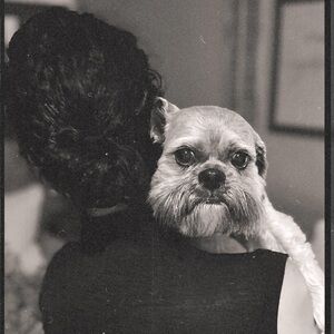 Meet your Posher, Leah